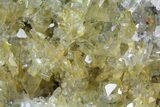 Plate Of Gemmy, Chisel Tipped Barite Crystals - Mexico #84405-2